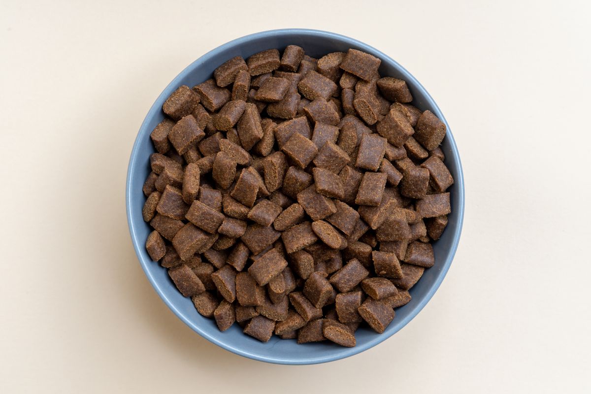 An overhead view of dry pet food in a blue bowl