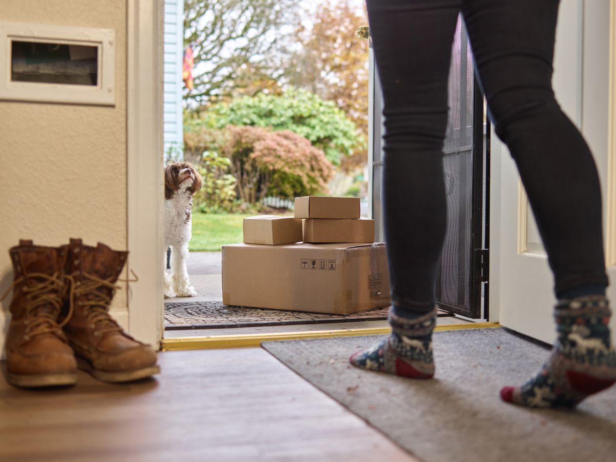 A dog beside delivery boxes at an open front door