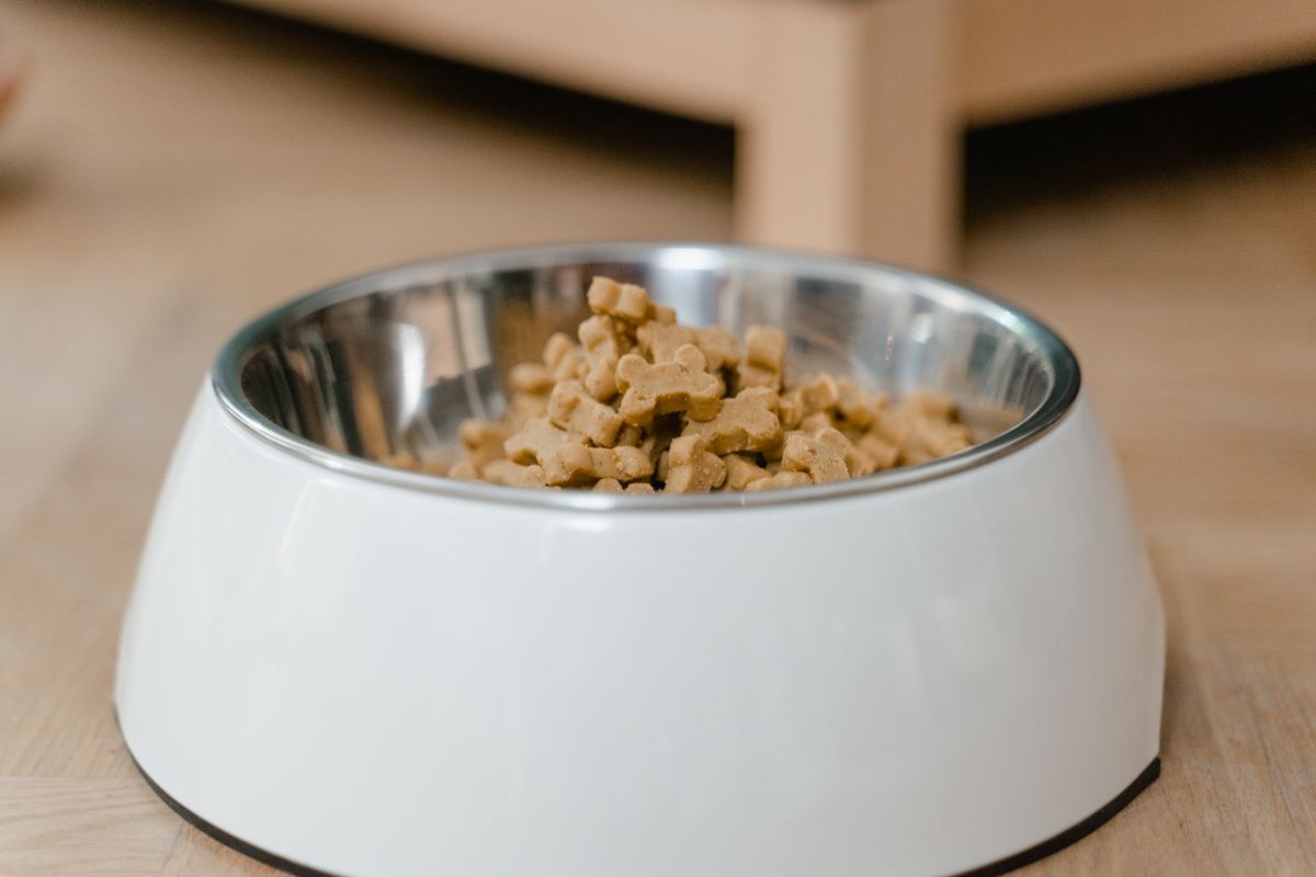 A metal pet bowl containing bone-shaped dog treats